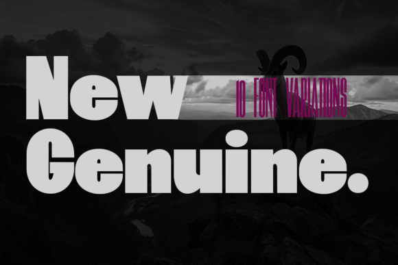 New Genuine: The Bold Sans Serif Font for Handmade Shop Brands