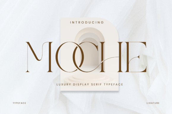 Why Moche Became the Hero Serif for My Latest Digital Project